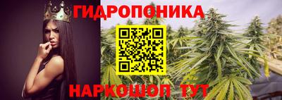 Альфа ПВП Абакан