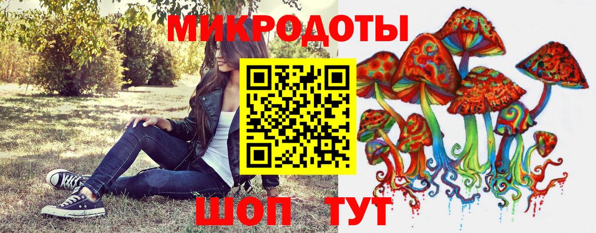 Галлюциногенные грибы ЛСД  Псилоцибиновые грибы Psilocybine cubensis  где купить наркотик  Вход с VPN  Асино 